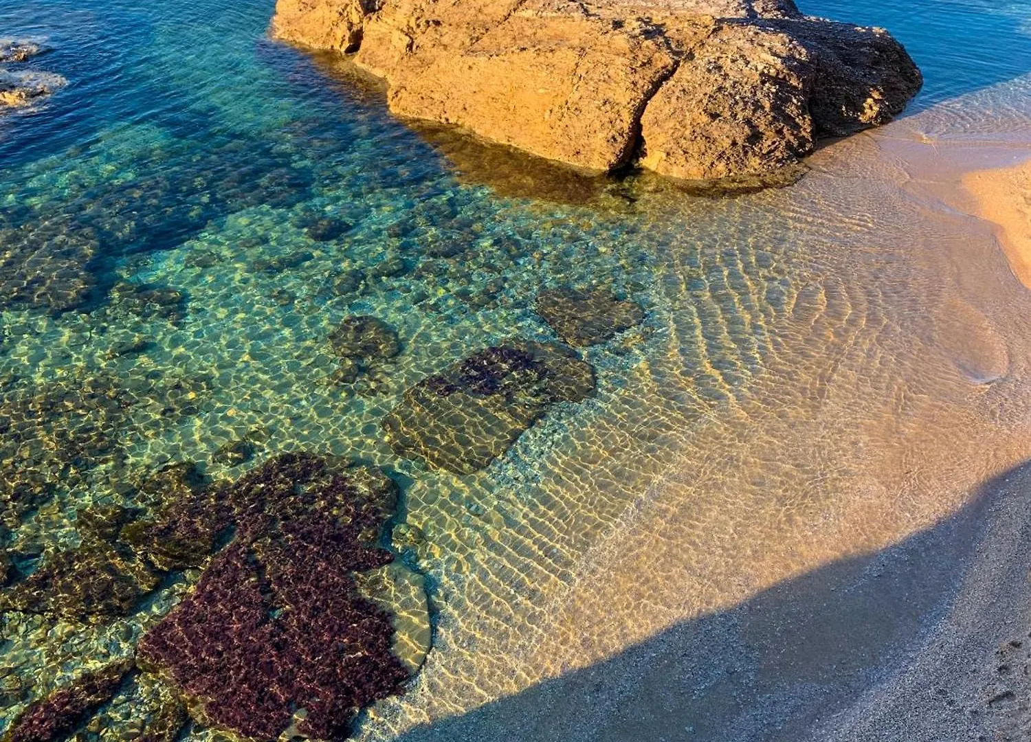 T2 Avec Terrasse & Parking A 5 Min Du Centre, 10 Min Des Plages Hyères